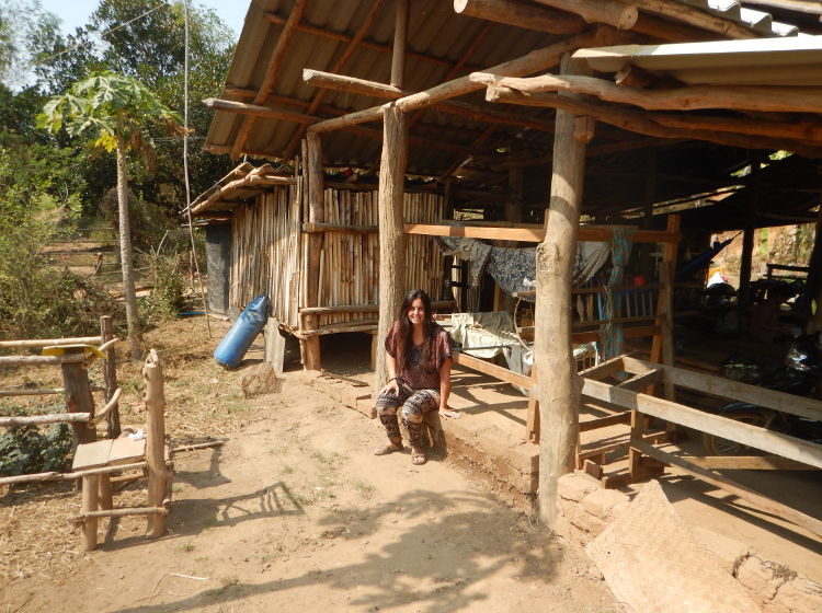 Happy-healing-home-farm-bricks