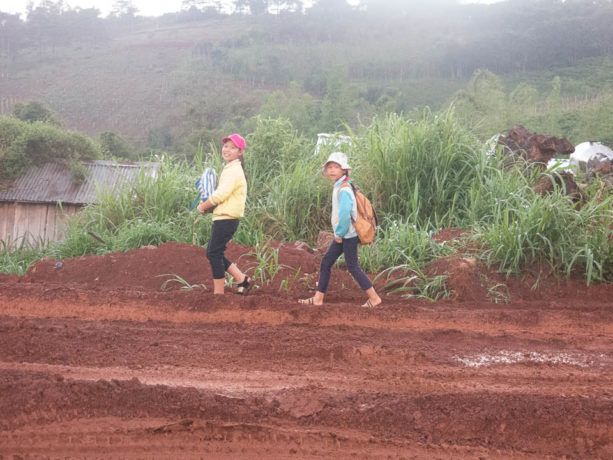 מזג אוויר בויאטנם – העונה המומלצת לטייל בויאטנם