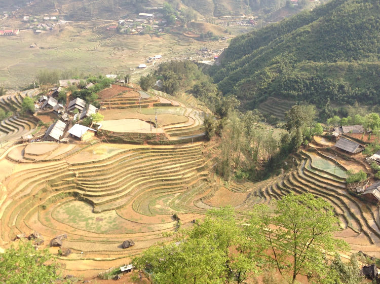 sapa-view