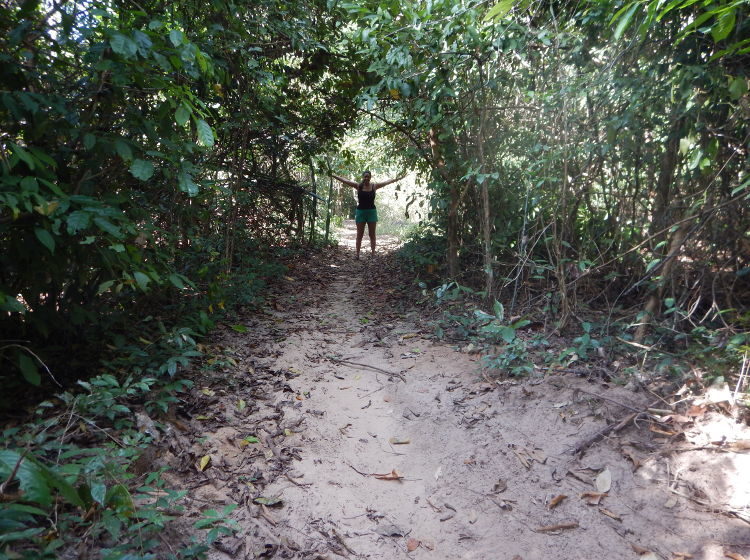 koh-phi-phi-hiking