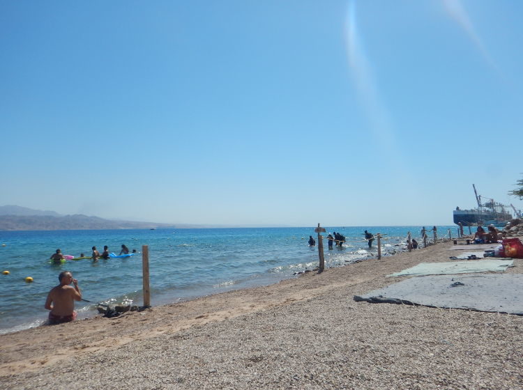 Eilat-bar-mosh-view-sea