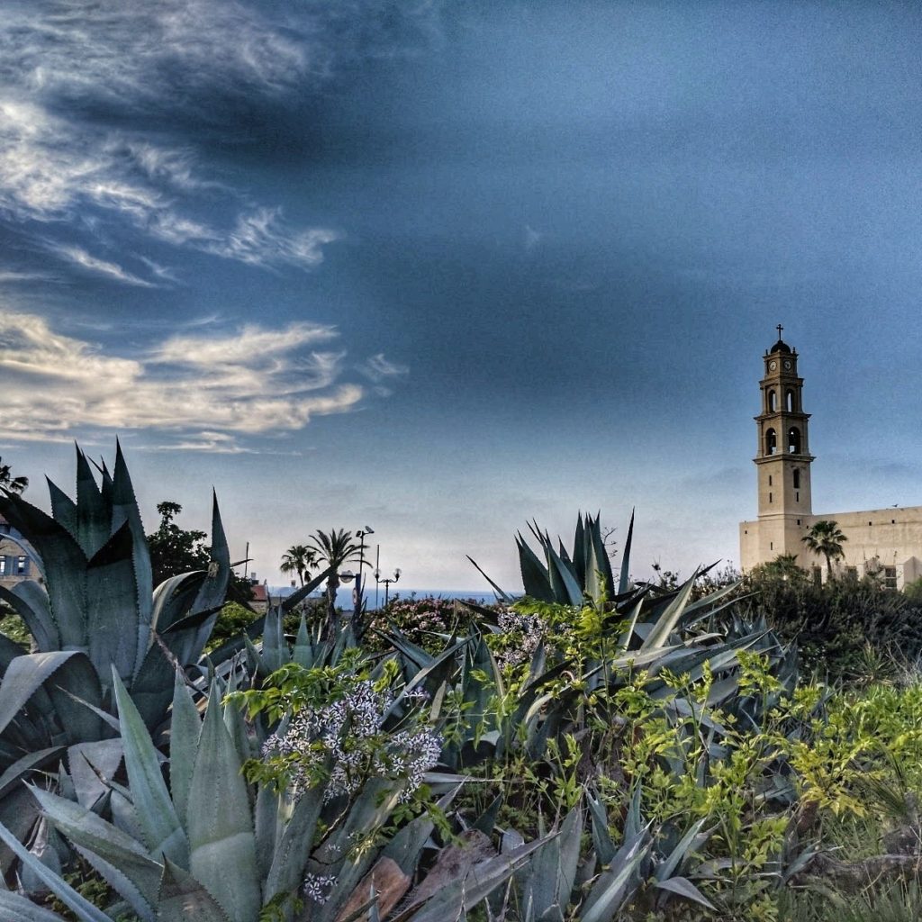 jaffa-evening