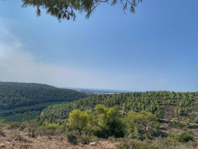 המלצות לזכרון יעקב והסביבה – טיפים של זכרונאית מקומית