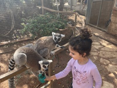 מה לעשות בפאפוס עם ילדים – המלצות לאטרקציות לילדים בפאפוס קפריסין